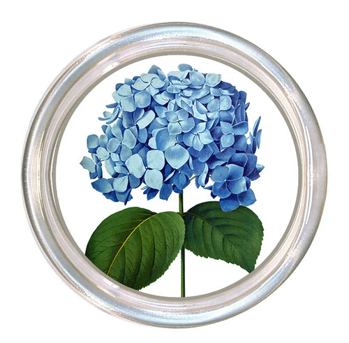 5" Glass Coasters - Multiple Designs