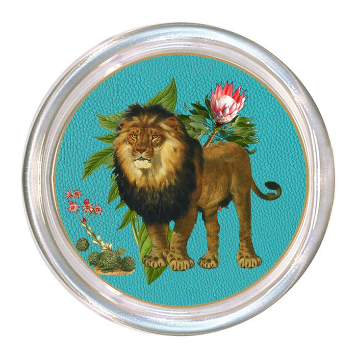 Lion on Turquoise