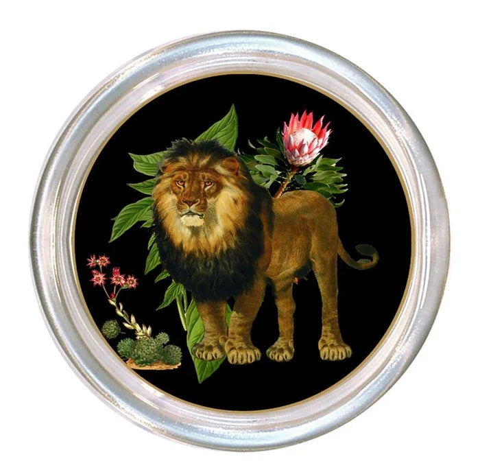 Lion on Black