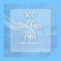 $60 5-Class Yoga Pass