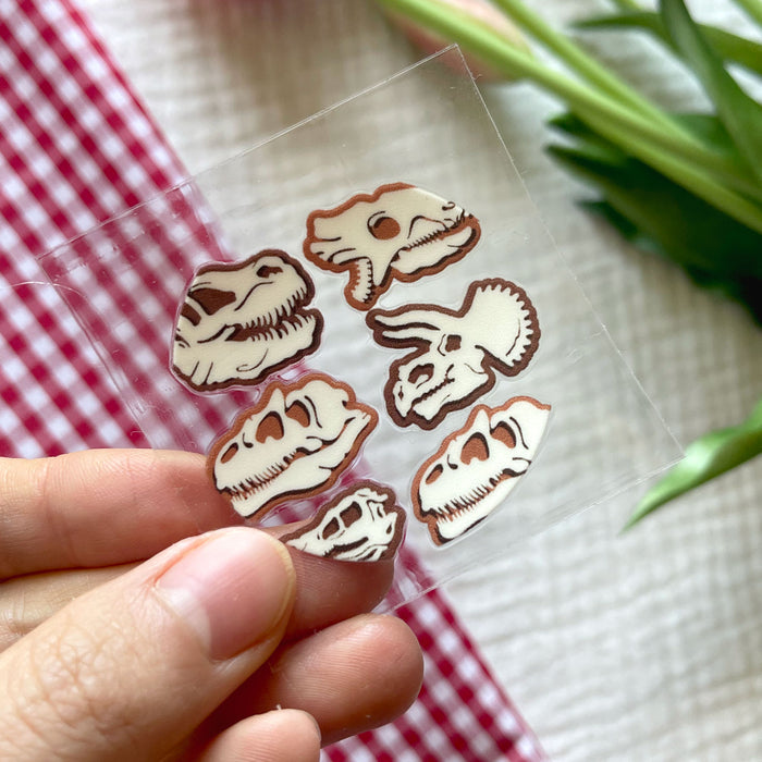 [ Double Sided ] Circle UV DTF Decal | Dinosaur Fossil