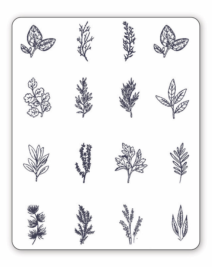 Garden Variety Pack - 16 Tattoos