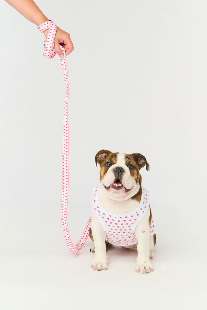 The Roller Rabbit Hearts Dog Leash features a pink, double-sided design with small red heart patterns and a silver clasp, displayed coiled on a white background.