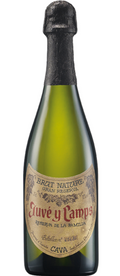 Juve y Camps Brut Cava Reserva 750ml