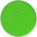 Key Lime (Lime) Pan