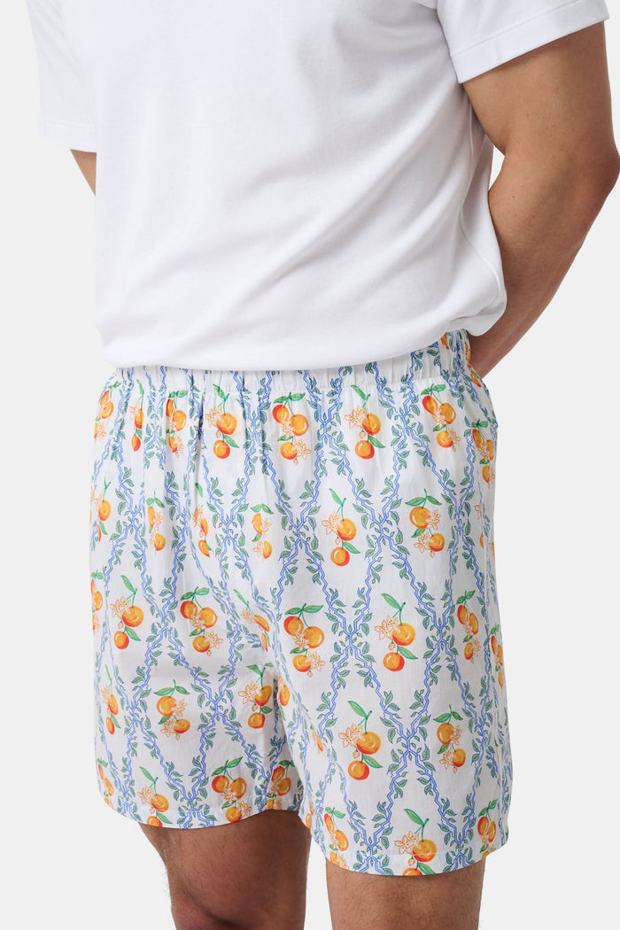 The Roller Rabbit Mens Summer Club/Clementine Trellis Boxer Set includes two soft cotton boxers: one with an orange fruit and branch print, the other with a vibrant beach scene featuring crabs, shells, and sandcastles for all-day comfort.