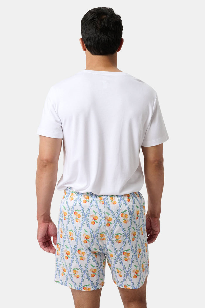 The Roller Rabbit Mens Summer Club/Clementine Trellis Boxer Set includes two soft cotton boxers: one with an orange fruit and branch print, the other with a vibrant beach scene featuring crabs, shells, and sandcastles for all-day comfort.