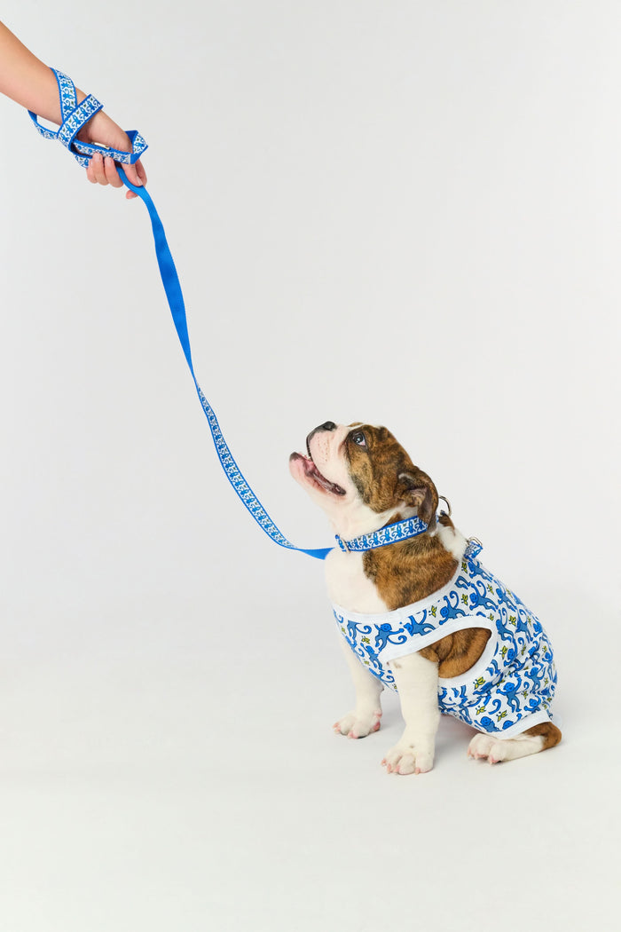 The Roller Rabbit Monkey Dog Leash is a blue printed polyester leash with a metal clip, shown neatly coiled on a white background. Matching collar available.