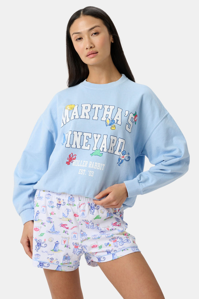 Light blue sweatshirt with 'Martha's Vineyard' text and graphics on a white background