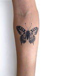 The Butterfly